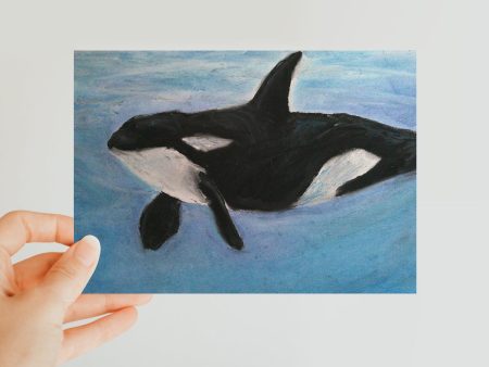 Orca Calls ~ Classic Postcard For Discount