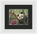 Hiding in Beauty - Framed Print For Sale