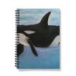 Orca Calls ~ Notebook Hot on Sale