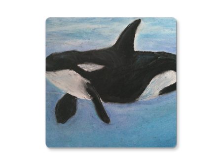 Orca Calls ~ Coaster Online now