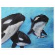 Orca Tides ~ Sticker Hot on Sale