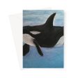 Orca Calls ~ Greeting Card Online