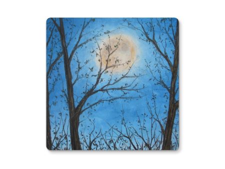 Wood Night Light ~ Coaster Sale