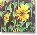 Nights of Sunflowers - Metal Print For Cheap