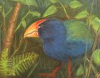 The Takahe - Art Print For Cheap