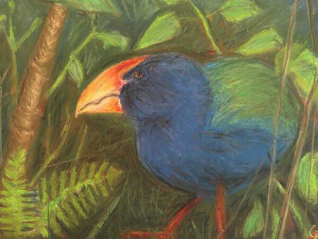 The Takahe - Art Print For Cheap