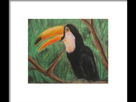 Toucan - Framed Print on Sale