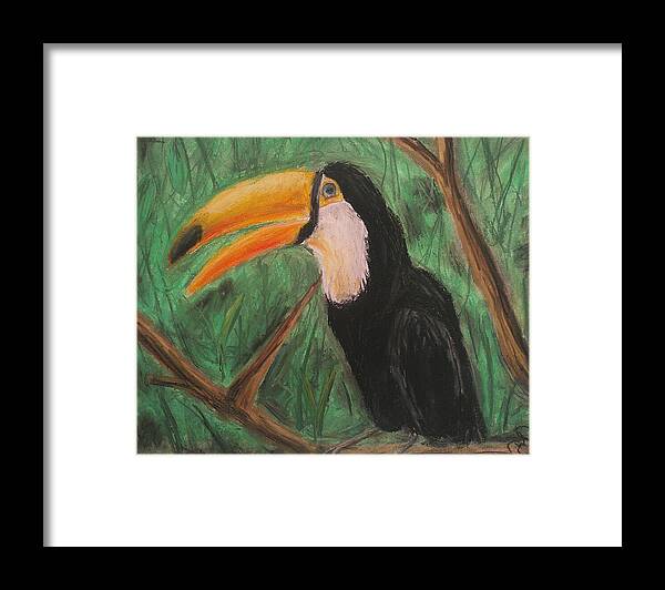 Toucan - Framed Print on Sale