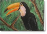 Toucan - Greeting Card For Cheap