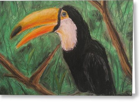 Toucan - Greeting Card For Cheap