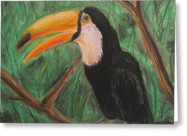 Toucan - Greeting Card For Cheap