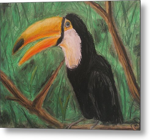 Toucan - Metal Print Fashion