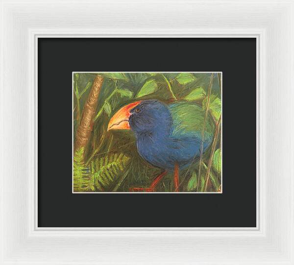 The Takahe - Framed Print Cheap