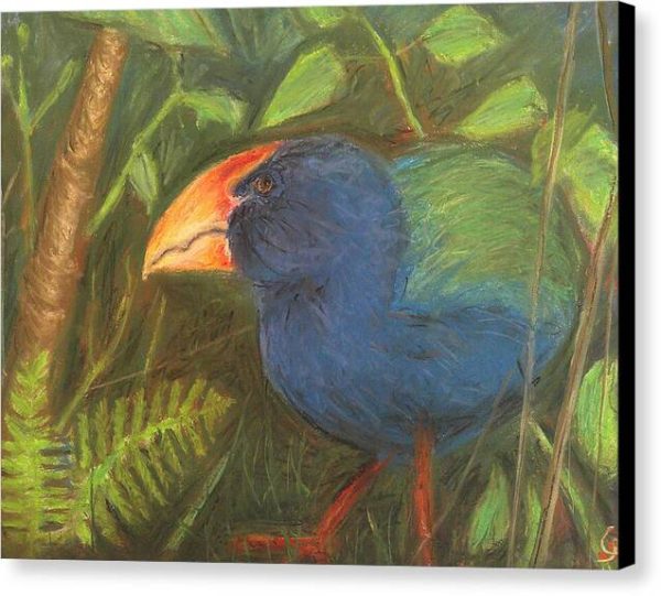 The Takahe - Canvas Print on Sale