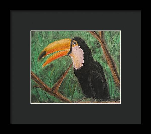 Toucan - Framed Print on Sale