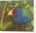 The Takahe - Canvas Print on Sale