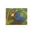 The Takahe Sticker Hot on Sale