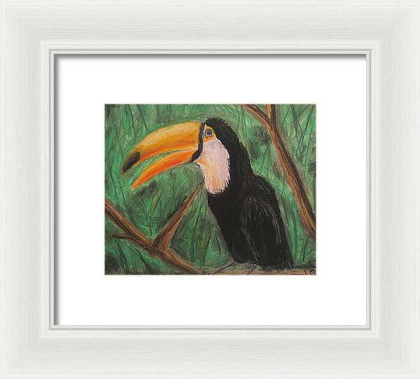 Toucan - Framed Print on Sale