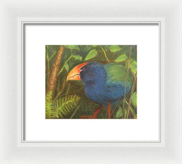 The Takahe - Framed Print Cheap