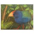 The Takahe Sticker Hot on Sale