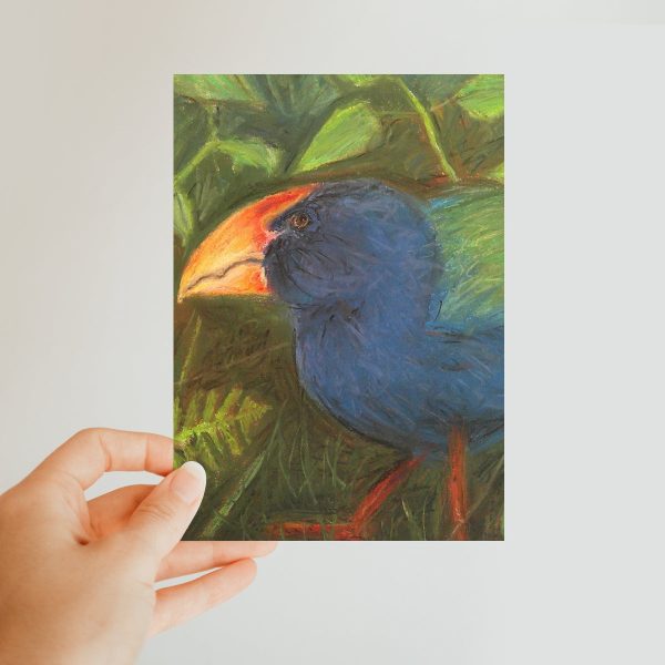 The Takahe Classic Postcard Supply