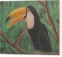 Toucan - Wood Print Sale