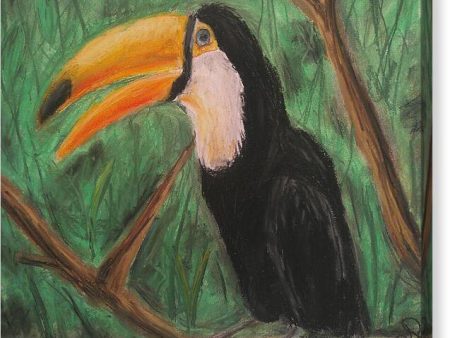 Toucan - Canvas Print For Discount