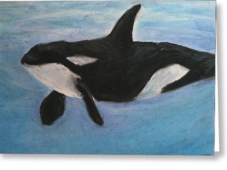 Orca Calls  - Greeting Card Discount