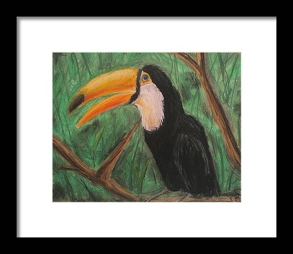 Toucan - Framed Print on Sale