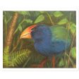 The Takahe Sticker Hot on Sale