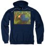 The Takahe - Sweatshirt For Cheap