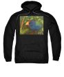 The Takahe - Sweatshirt For Cheap