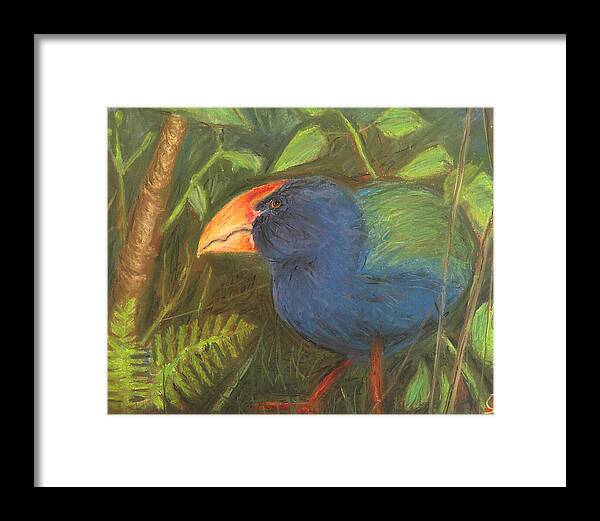 The Takahe - Framed Print Cheap