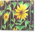 Nights of Sunflowers - Acrylic Print on Sale