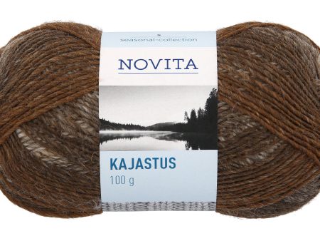 Lanka Novita Kajastus 100g Polku 867 Discount