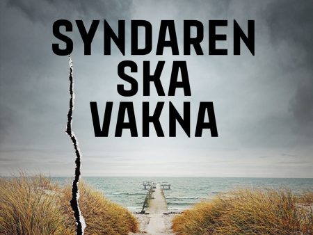 Syndaren ska vakna Online